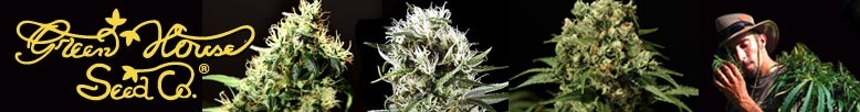 Arkansas Cannabis Seeds Online