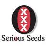 Cannabis Seeds USA Serious Seeds
