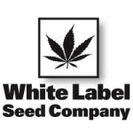 Cannabis Seeds USA White Label Cannabis Seeds Company