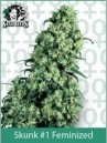 Cannabis Seeds Usa Sensi Seed Bank Skunk #1