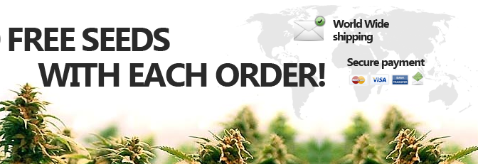 Where To Get Marijuana Seeds Free With Every Order