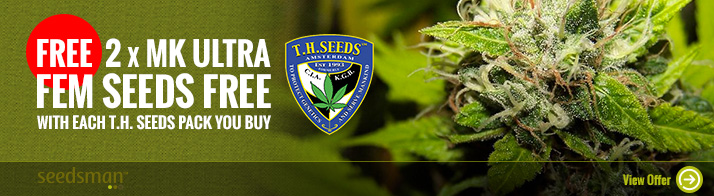 Free Cannabis Seeds From TH Seeds