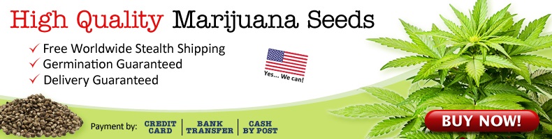 Legally Buy Marijuana Seeds In Texas