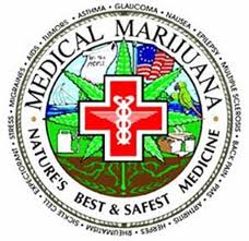 Medical Marijuana Seeds.