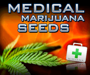 Nirvana Medical Seeds