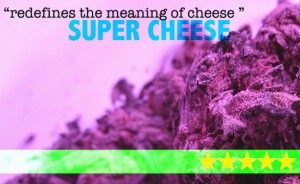 SUPER CHEESE SEEDS