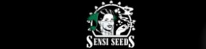 Sensi Seeds The Best Marijuana Seeds