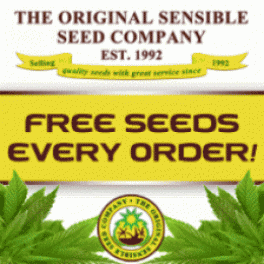 Buy Outdoor Marijuana Seeds Here