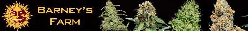 Barneys Farm Marijuana Seeds