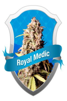 Royal Queen Seeds Royal Medic, Medical Marijuana Seeds.