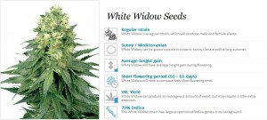 White Label Seeds White Widow