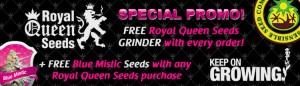 Veg Page Finding You The Best Marijuana Seeds Offers - Free Royal Queen Seeds - VIEW HERE