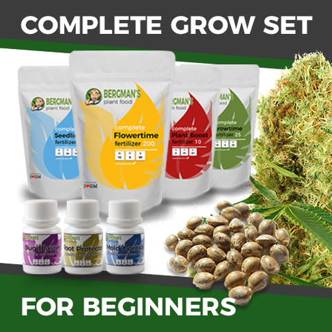 The Complete Beginners Marijuana Seeds Grow Set