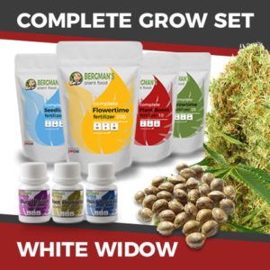 The Complete White Widow Marijuana Seeds Grow Set