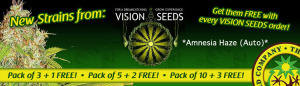 Vision Seeds Offer