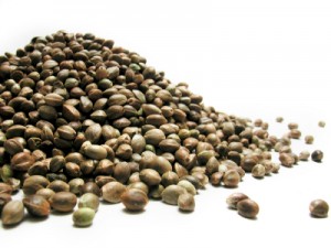 Veg Page High Quality Indoor Marijuana Seeds