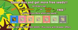 Veg Page Cannabis Seeds Online - Click Here