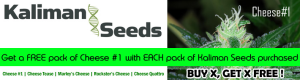 Where To Cannabis Seeds March Offer