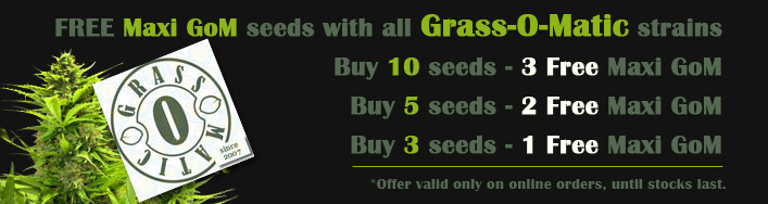 Where To Get Marijuana Seeds March Offer