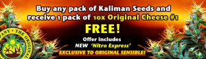 Buy Kaliman Seeds Today - Receive a pack of 10 Cheese#1 Marijuana Seeds FREE with every pack of Kaliman Seeds - Worldwide USA Shipping.