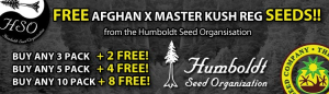 Free Cannabis Seeds US - Latest Offers - Humboldt Seed Organization