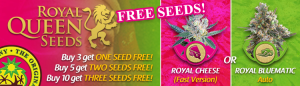 Free Cannabis Seeds Latest Offers - Royal Queen Seeds