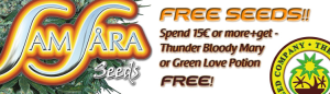 Free Cannabis Seeds - Latest Offers - Samsara Seeds
