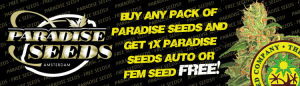 Free Cannabis Seeds - Paradise Seeds