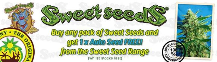 Free Cannabis Seeds - Sweet Seeds
