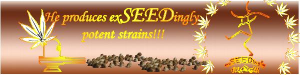 Dr Krippling Seeds Collection