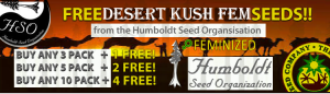 Free Cannabis Seeds - Humboldt Desert Kush