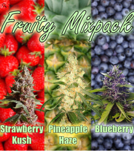 Fruity Marijuana Seeds