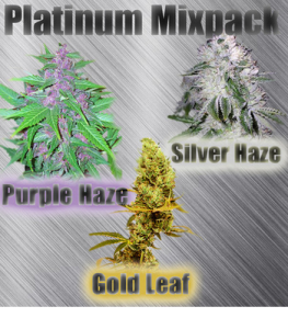 Platinum Mix Marijuana Seeds
