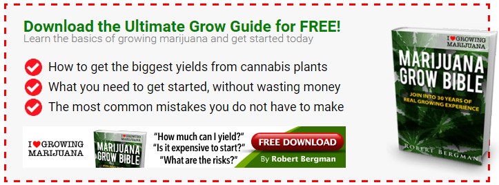 The Ultimate Grow Guide