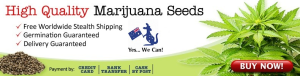 We Deliver Cannabis Seeds To Australia