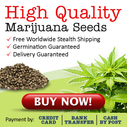 Buy Marijuana Seeds