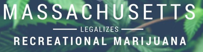 Growing Cannabis In Massachusetts