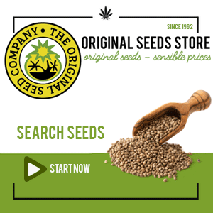 Original Sensible Cannabis Seeds Bank