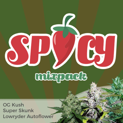 Spicy Mix Marijuana Seeds