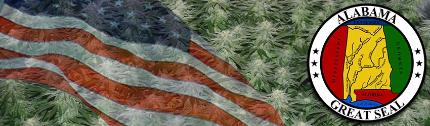 Buy Medical Marijuana Seeds In Alabama