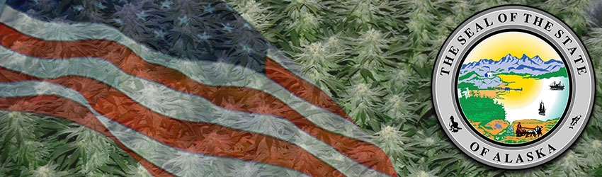 Buy Medical Marijuana Seeds In Alaska