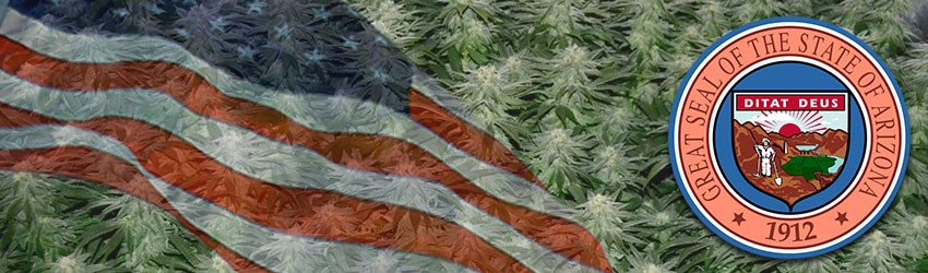 Buy Medical Marijuana Seeds In Arizona