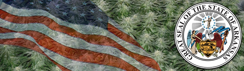 Buy Medical Marijuana Seeds In Arkansas
