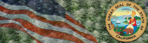 Buy Medical Marijuana Seeds In California