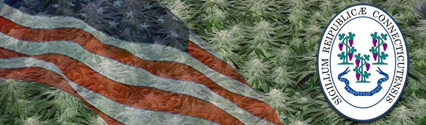 Buy Medical Marijuana Seeds In Connecticut