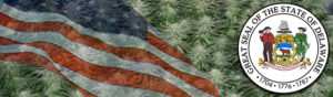 Buy Medical Marijuana Seeds In Delaware