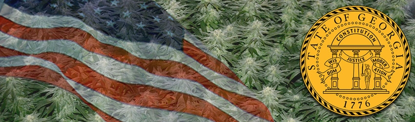 Buy Medical Marijuana Seeds In Georgia
