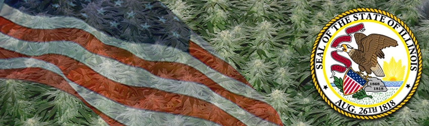 Buy Medical Marijuana Seeds In Illinois