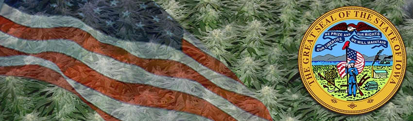 Buy Medical Marijuana Seeds In Iowa