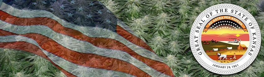 Buy Medical Marijuana Seeds In Kansas